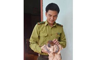 Đi tìm mật ong, cứu được một cá thể voọc quí hiếm bị kiệt sức  