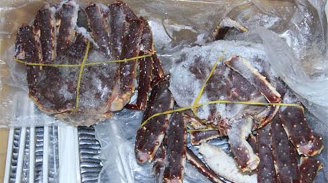 5 tấn hàng hải sản bốc mùi chuẩn bị đưa vào nhà hàng