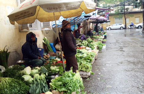 Rau xanh bắt đầu khan hiếm, người dân đổ xô mua thực phẩm chế biến sẵn
