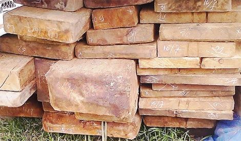 Phát hiện 9 trường hợp vận chuyển lâm sản trái phép