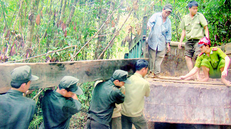 Số vụ phá rừng ở tỉnh Quảng Nam giảm