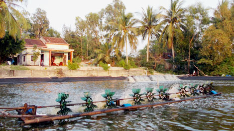 Vì sao người dân phản đối dự án nuôi tôm ở xã Tam Tiến?