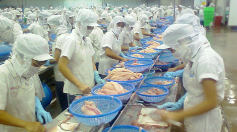 Doanh nghiệp Việt lãnh đủ đòn vì thủ tục "hành là chính"