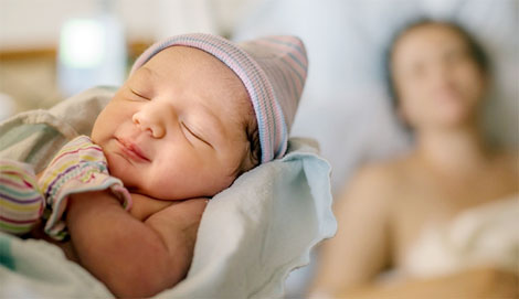 Bắc thang lên hái lộc trời