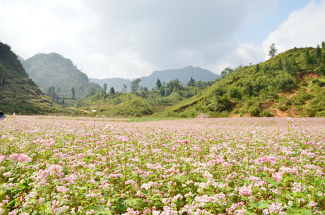 Lý thú tam giác mạch