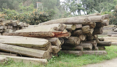 Đình chỉ 4 kiểm lâm thiếu trách nhiệm ở Đắk Nông