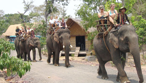 Xây dựng thuỷ điện trong vùng lõi VQG Yok Đôn: Luật nào cho phép phá rừng quốc gia?