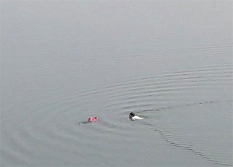 Nhờ bạn chở lên cầu rồi nhẩy xuống sông Hương tự vẫn 