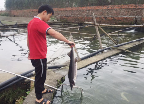  “Ngư ông” trên những dãy núi mờ sương