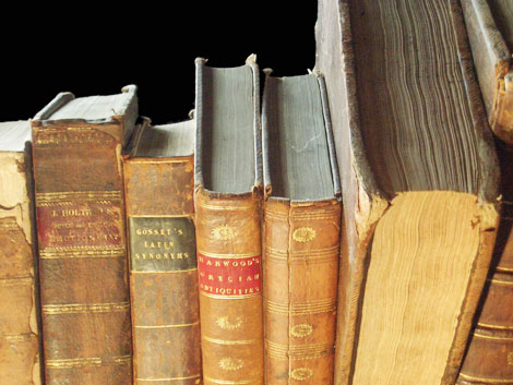 Thú vui lúc đọc từ điển