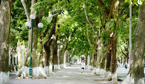 Hà Nội dấu hương