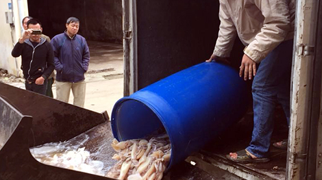 Tiêu hủy 4 tạ mực đông lạnh giá bèo tại chợ Long Biên