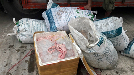 Lại phát hiện 3,5 tấn thịt, nội tạng thối vào Nam