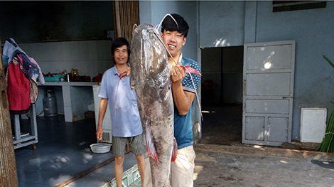 Câu được cá lăng đuôi đỏ quý hiếm cực khủng