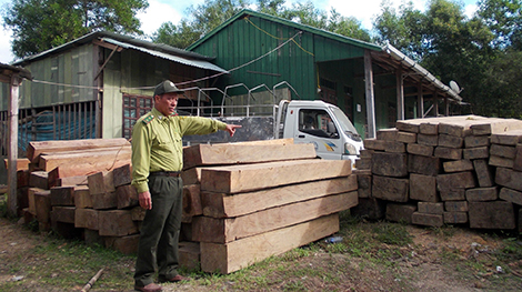 Quảng Nam tăng cường chống lâm tặc dịp cuối năm