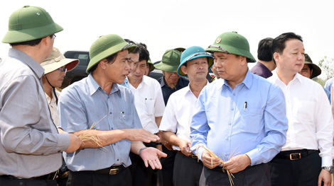 Phó Thủ tướng Nguyễn Xuân Phúc kiểm tra công tác chống hạn tại Tây Nguyên