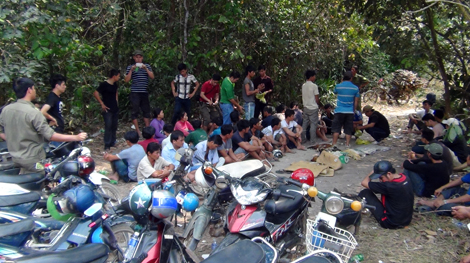 Triệt phá trường gà quy mô lớn rừng Tầm Đinh