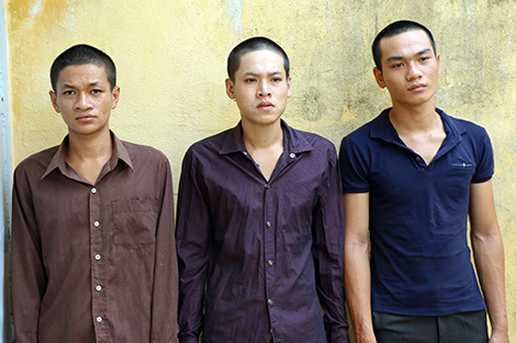 Điều tra làm rõ hơn 20 vụ trộm “đột vòm” mùa thu hoạch điều