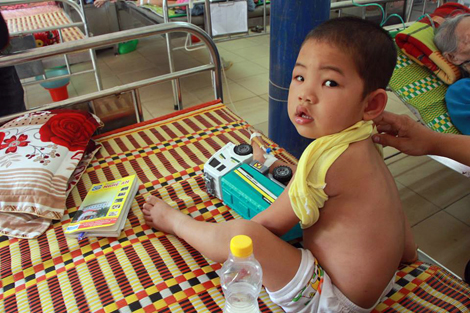 Cô giáo và 17 trẻ mầm non bị ong rừng tấn công nhập viện