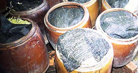 Kinh hoàng công nghệ sản xuất giá đậu bằng thạch cao