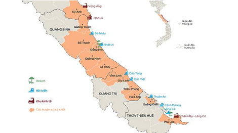 7 bộ họp về độc tố khiến cá chết hàng loạt