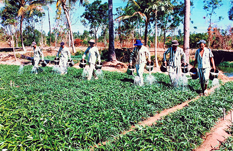 Nỗi niềm của một phạm nhân từng mang án tử hình