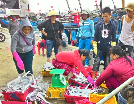 Hỗ trợ khẩn cấp gần 3.000 tàu, thuyền đánh cá vươn khơi