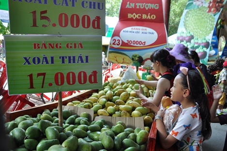 Héo hắt ở Lễ hội trái cây Nam Bộ lần thứ 12