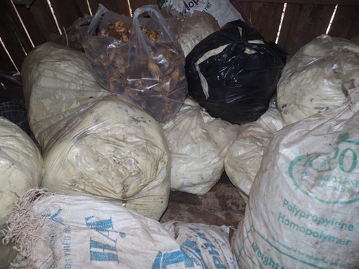 Hàng trăm kg mỡ bò bẩn được cất giấu trong chuồng gà