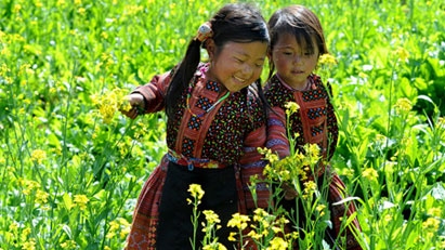 Mộc Châu trở thành tâm điểm du lịch Tây Bắc