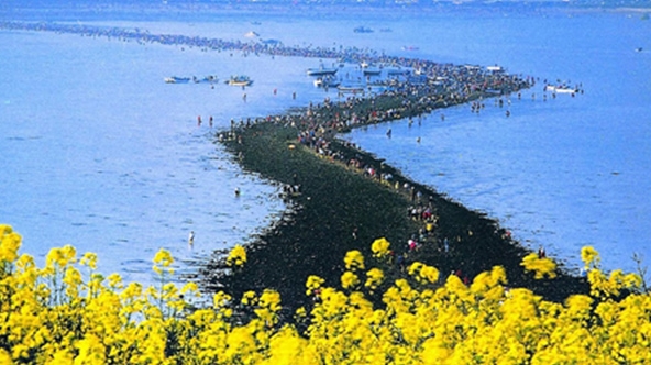 Hàn Quốc: Biển tự tách đôi - hiện tượng thiên nhiên độc nhất vô nhị