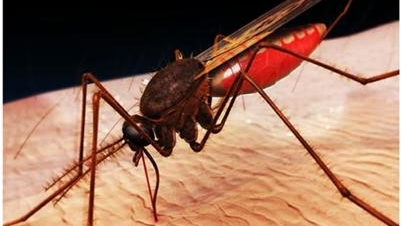 17 nước dự hội nghị quốc tế về sốt rét do Việt Nam tổ chức