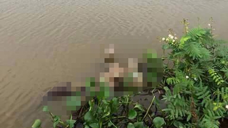 Thi thể thiếu nữ 18 tuổi nổi trên sông Cánh