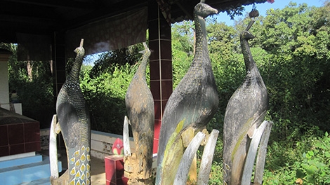 Bí ẩn rừng Ma-sát