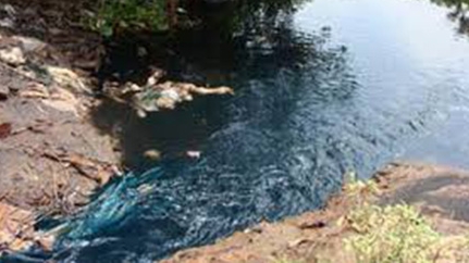 Nhà máy xử lý nước thải quá tải xả tràn ra sông rạch