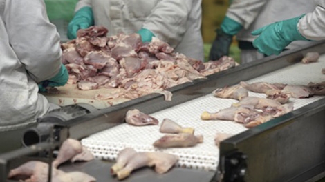 Mỹ phủ nhận bán phá giá thịt gà Mỹ tại Việt Nam