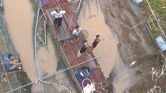 Dân đứng 2 bờ sông Kinh Thầy rình bắt 600 tấn cá trôi vì lũ