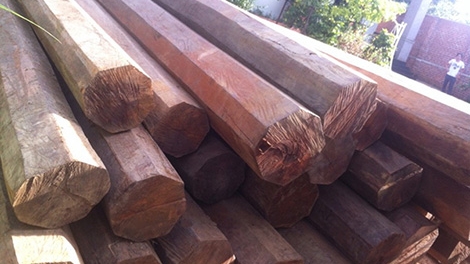 5,5m3 gỗ lậu quý hiếm trong nhà nguyên bí thư huyện