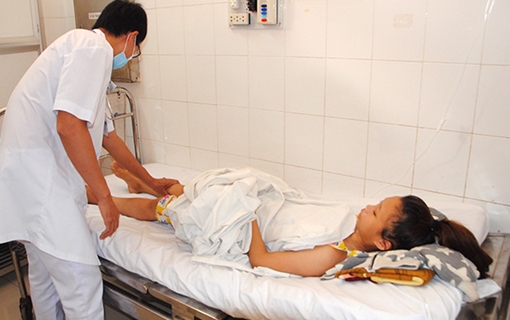 Rắn lục đuôi đỏ tấn công người hái cà phê