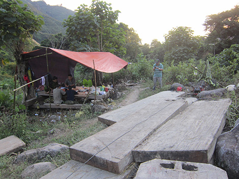 Một cán bộ xã bắt tay với “lâm tặc” 