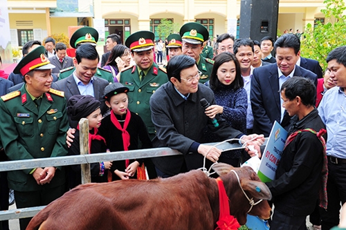 Chủ tịch nước tặng 50 con bò giống cho hộ nghèo tỉnh Hà Giang