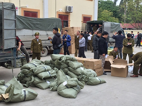 Đột kích, thu giữ số hàng hóa có dấu hiệu buôn lậu cực lớn 