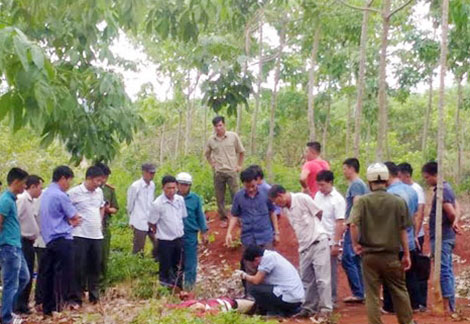 Xác định được danh tính nam thanh niên bị đâm chết trong vườn cao su