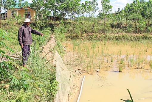 Giếng nước, hồ cá ở vùng cao A Lưới khô cạn bất thường 