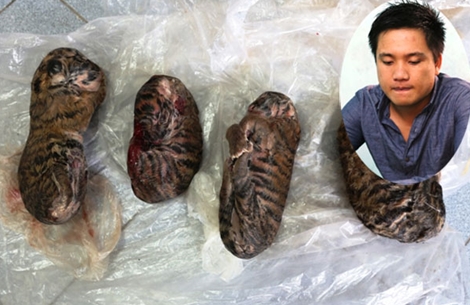 Rao bán 4 hổ con đông lạnh trên mạng