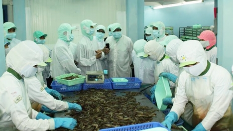 Trên 90% công nhân trở lại làm việc sau Tết