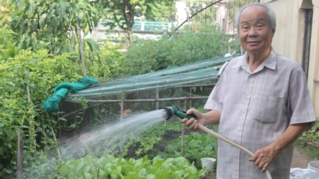 Những chiều bình yên bên đời...