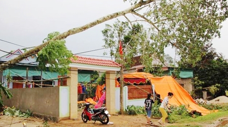 Lốc xoáy ở Nghệ An, nhiều nhà dân tốc mái