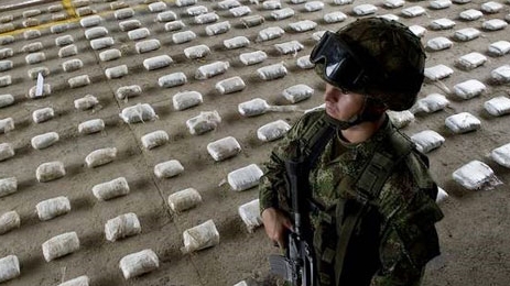 Cảnh sát Colombia bội thu bắt ma túy