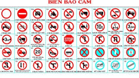 Nhanh, chậm và hạnh phúc